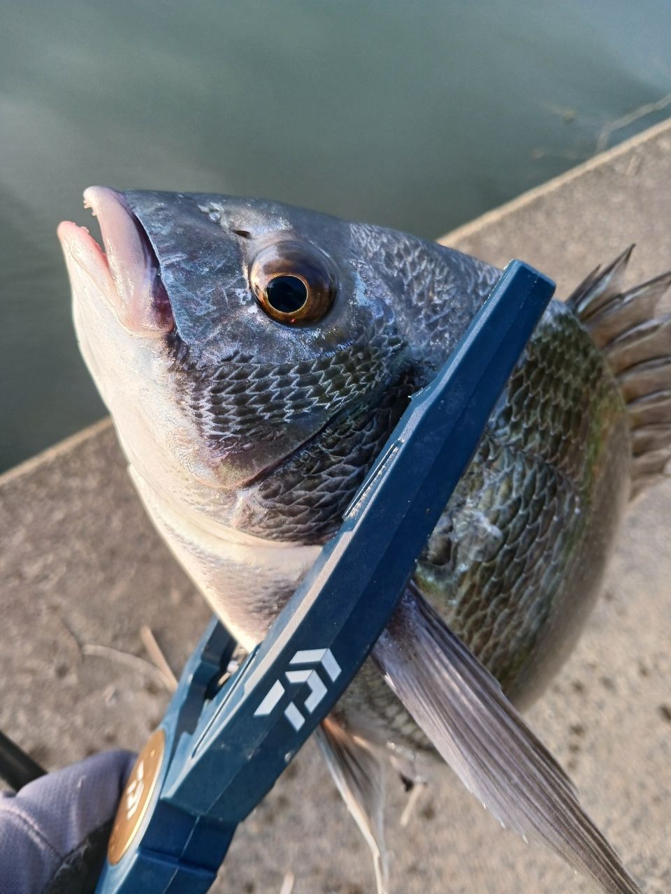 DAIWA 22エメラルダス ストイスト RT 82MHの最安値・インプレ・釣果