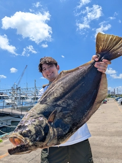 ヒラメの釣果