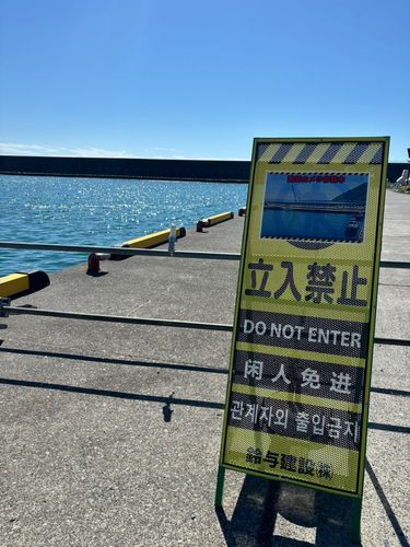 ヒイラギの釣果