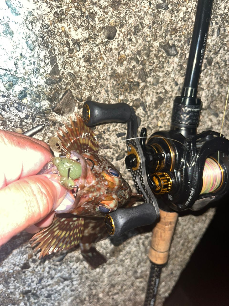 AbuGarcia エラディケーター ベイトフィネス EBTC-74MLSの最安値