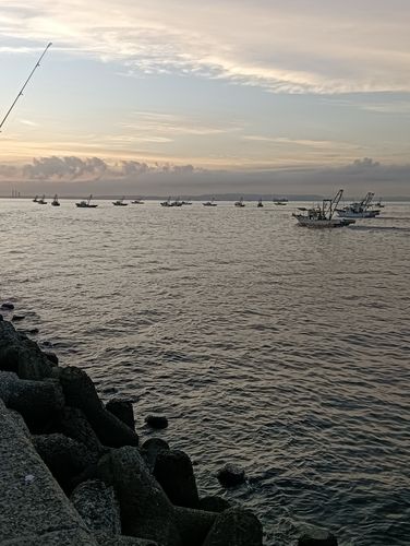釣果