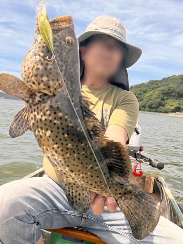 ヤイトハタの釣果