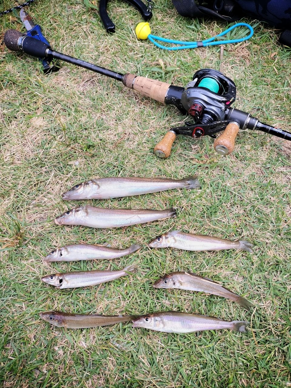 AbuGarcia ソルティーステージ・KR-X・ベイトフィネスカスタム SBFC