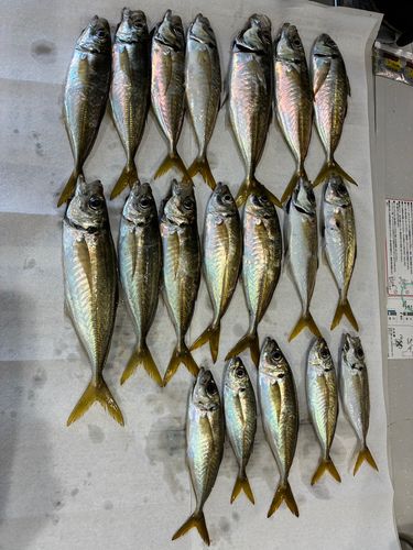 釣果