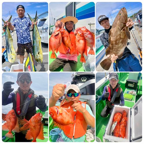クエの釣果