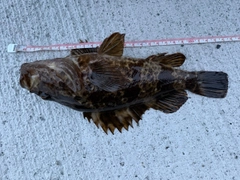 釣果