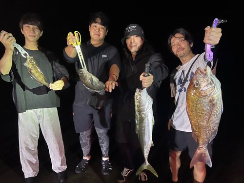 タイの釣果