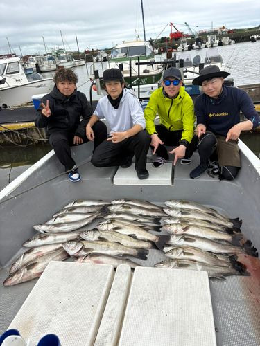 シーバスの釣果
