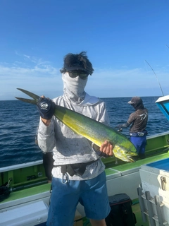 シイラの釣果