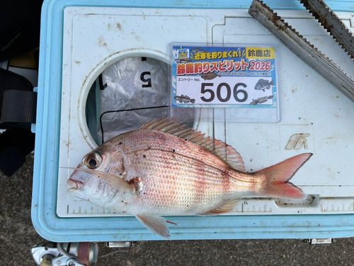 タイの釣果