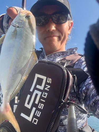 ショゴの釣果