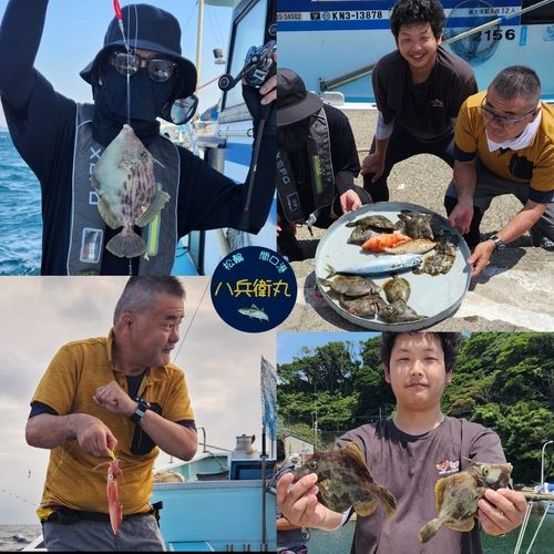 カワハギの釣果