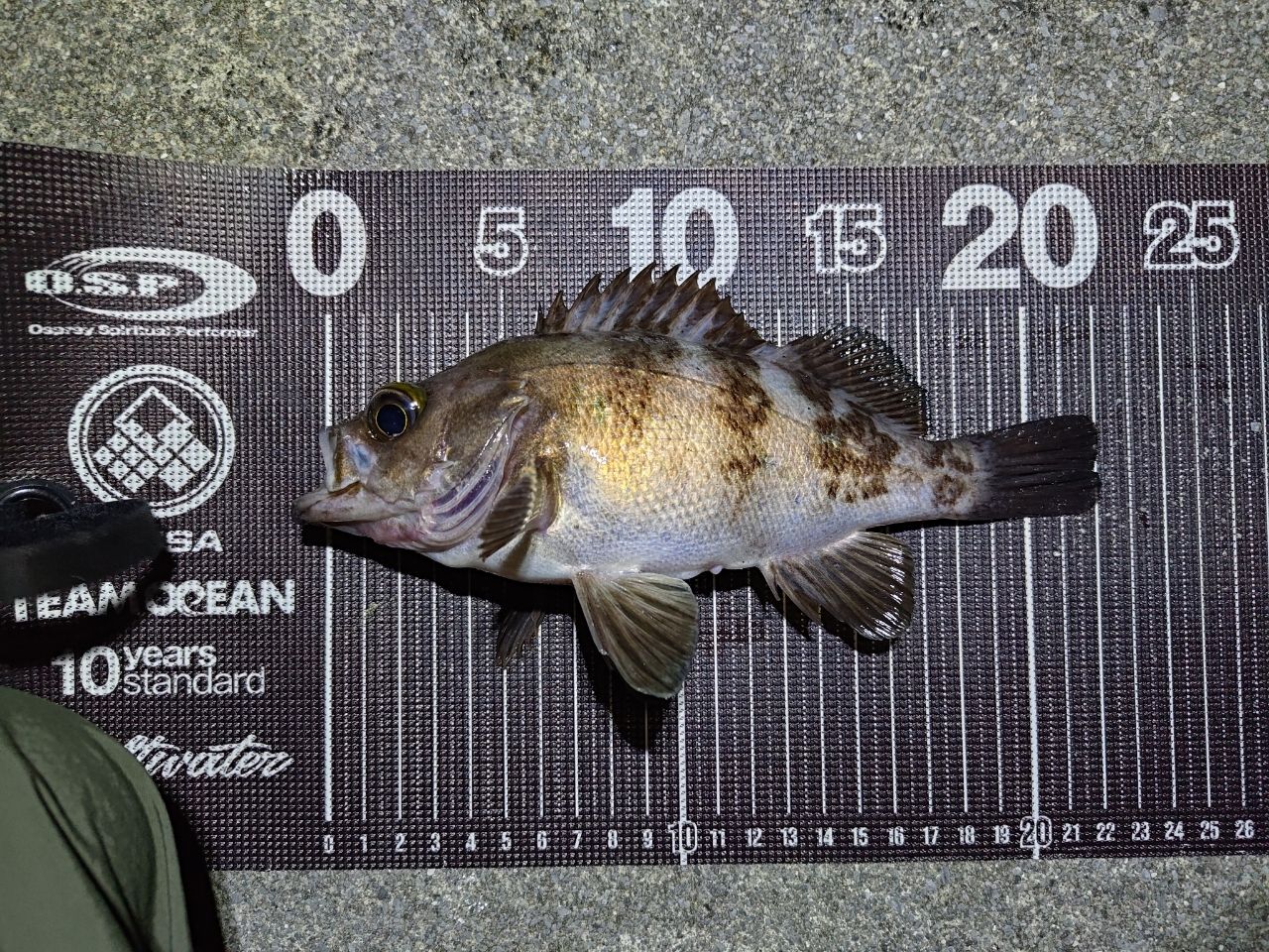 AbuGarcia ソルティーステージ プロトタイプ アジング XAJS-552ULT-ST