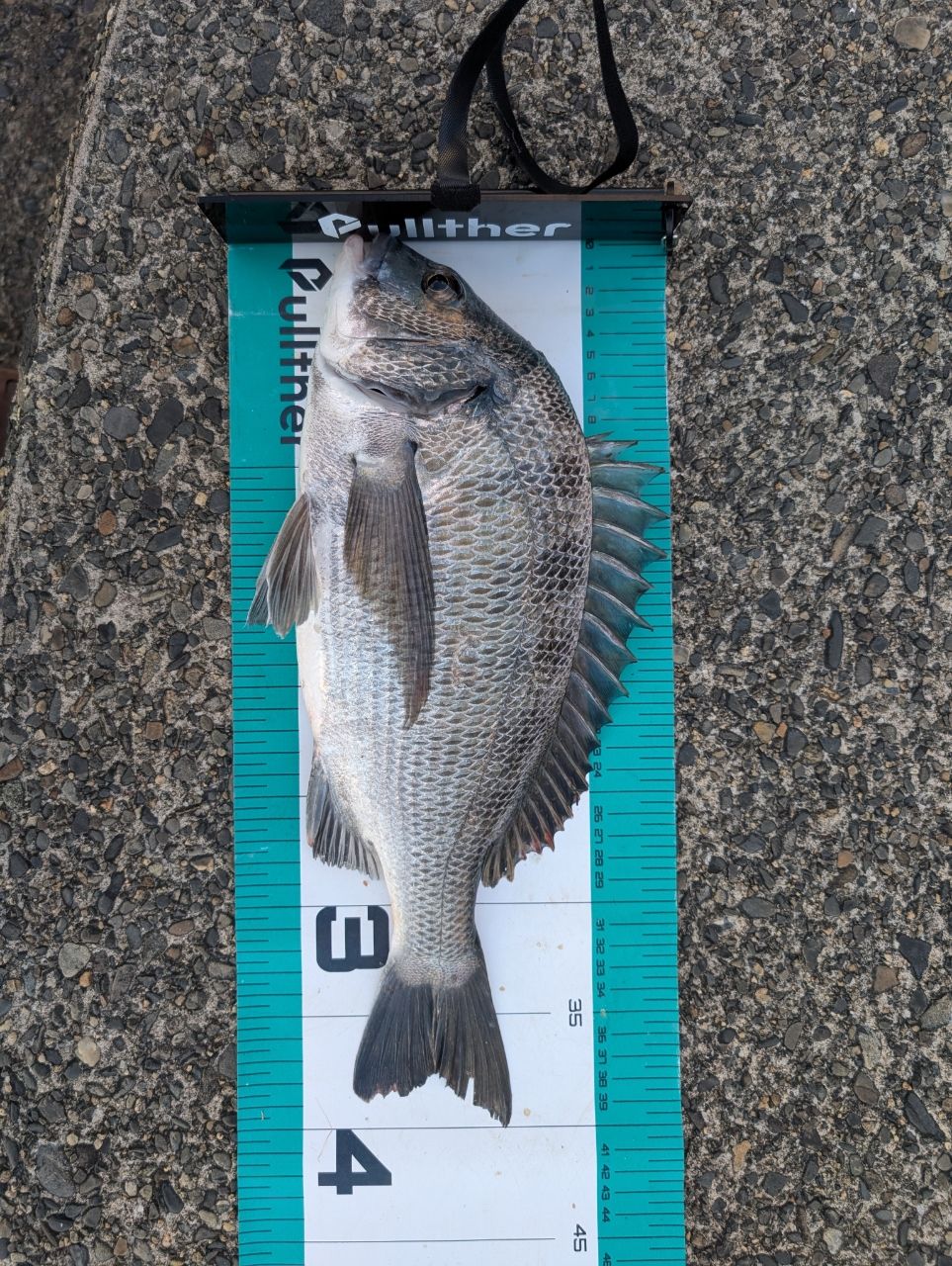 SHIMANO 18ディアルーナ B86Mの最安値・インプレ・釣果 | 本音の口コミ