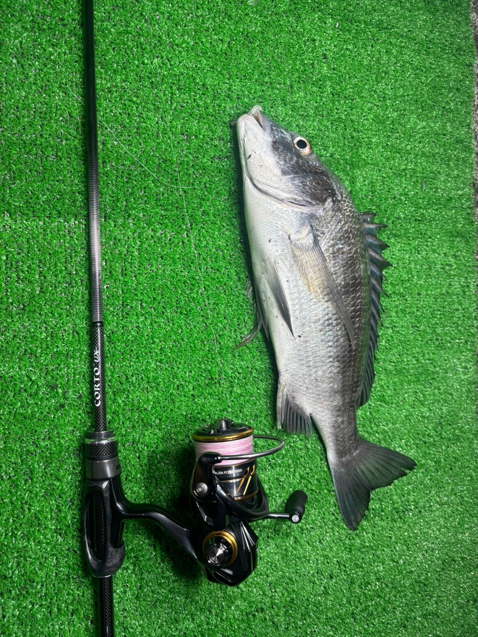OLYMPIC 23コルト UX 23GCORUS-6102L-HSの最安値・インプレ・釣果