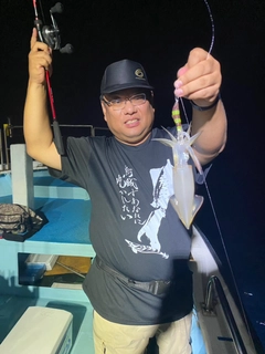 マイカの釣果