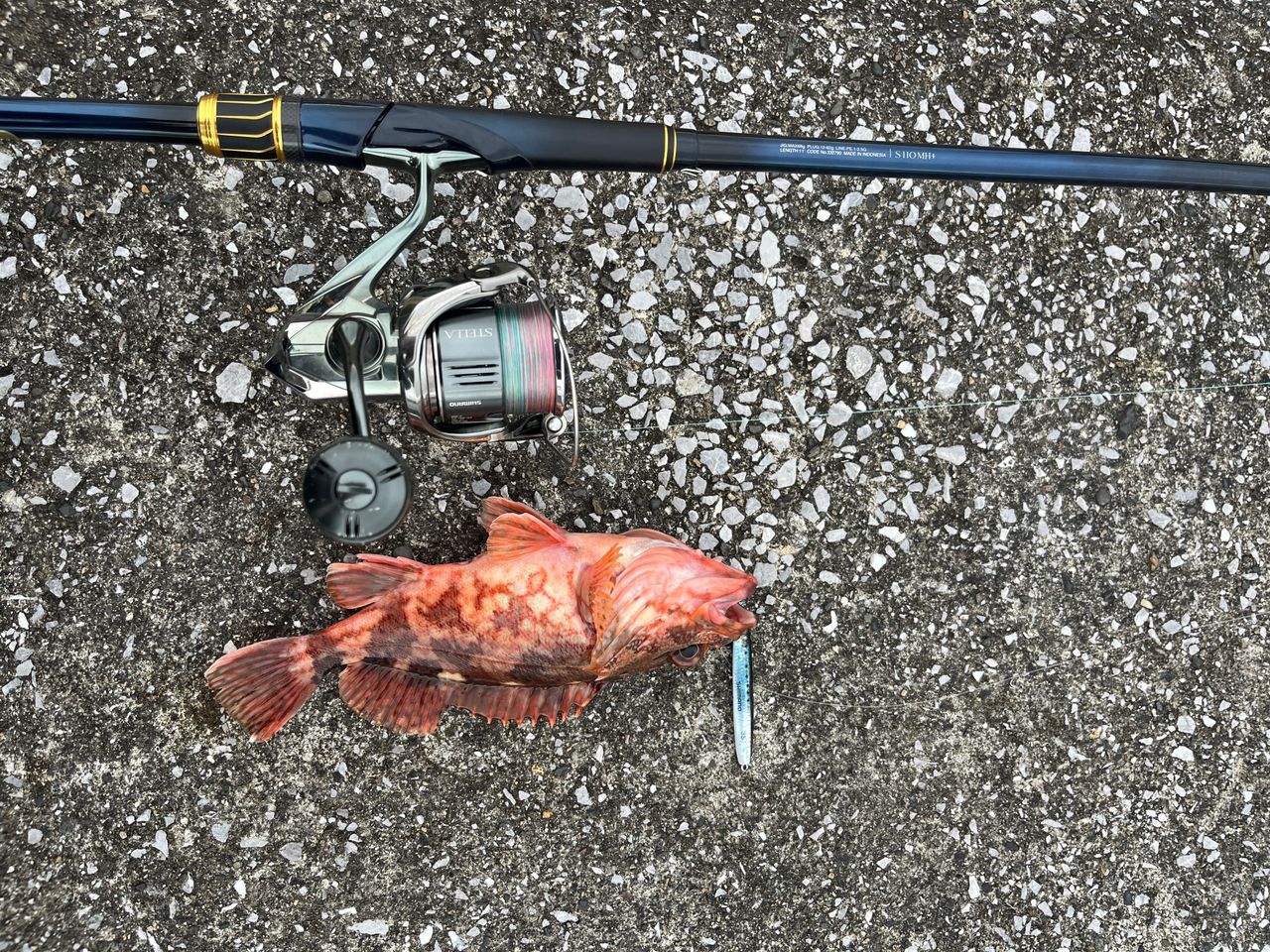SHIMANO 23ネッサ リミテッド S110MH+の最安値・インプレ・釣果 | 本音