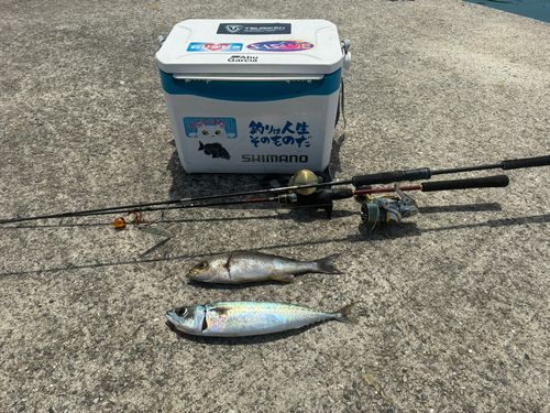 釣果