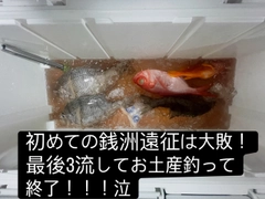 メイチダイの釣果