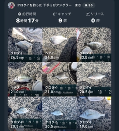 クロダイの釣果