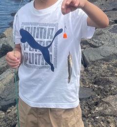 マハゼの釣果