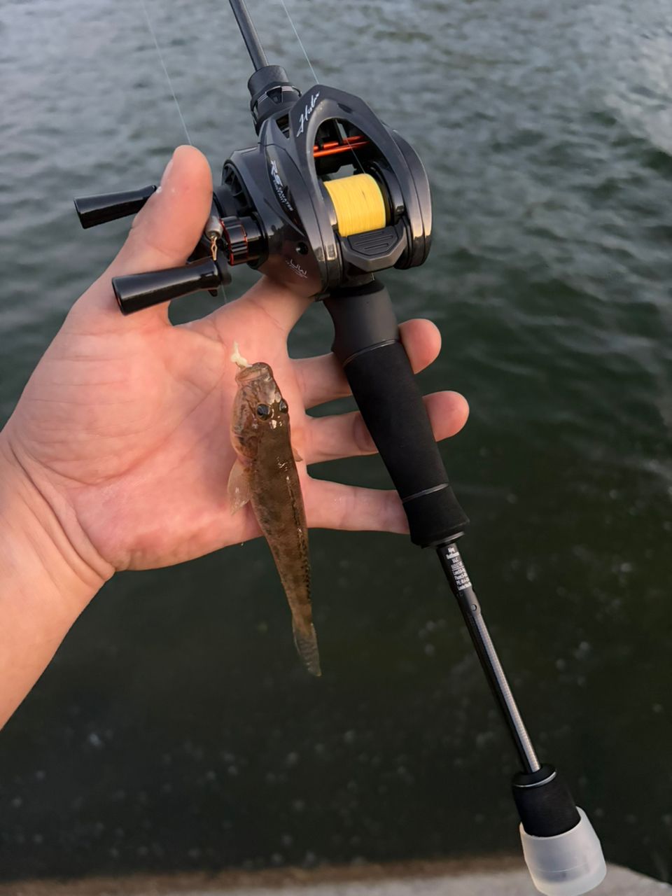 AbuGarcia ソルティーステージ プロトタイプ ベイトフィネス XAJC