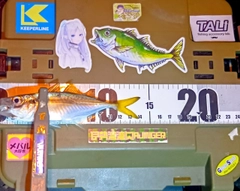 マアジの釣果