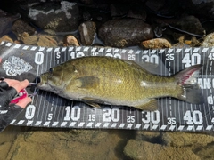 スモールマウスバスの釣果