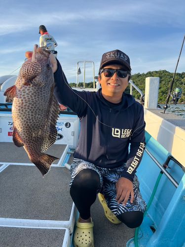 オオモンハタの釣果