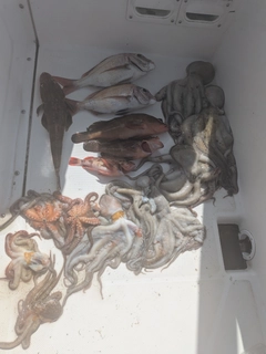釣果