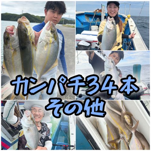 カンパチの釣果