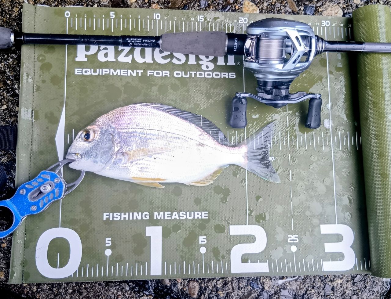 DAIWA 22アルファス SV TW 800S-XHの最安値・インプレ・釣果 | 本音の