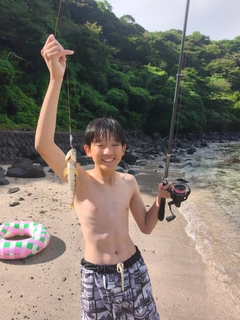 エソの釣果