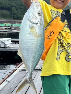 シマアジの釣果