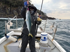 ヤズの釣果