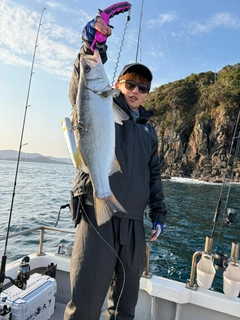 ヒラスズキの釣果