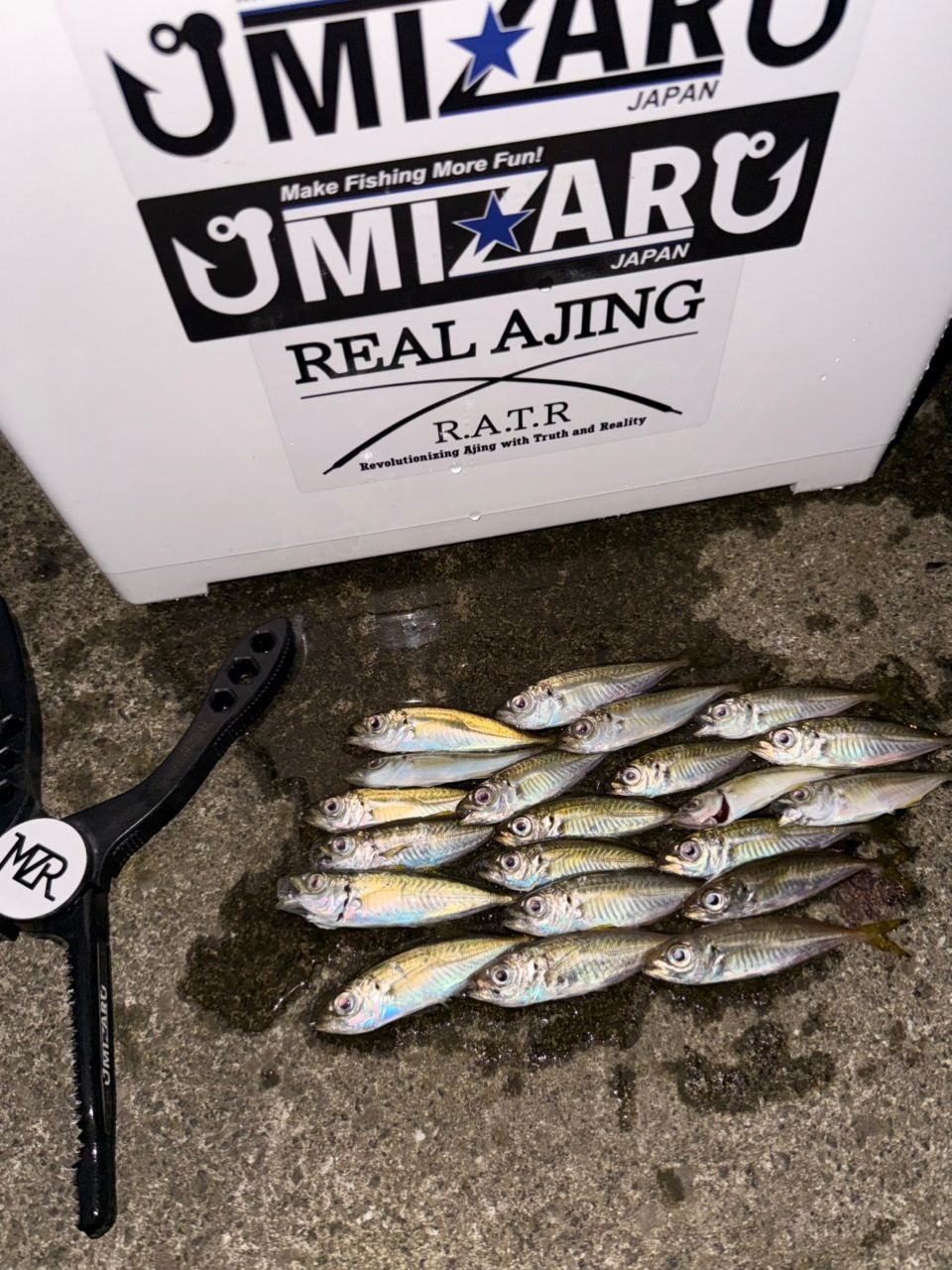 SHIMANO 19ヴァンキッシュ 1000SSSPGの最安値・インプレ・釣果 | 本音