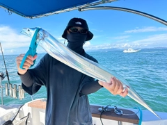 タチウオの釣果