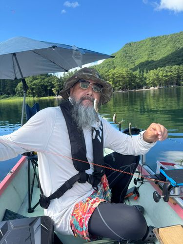 ワカサギの釣果