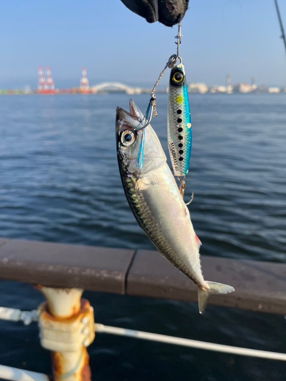 Daiwa Over there 100MHH ショアジギングロッド DAIWA 22オーバーゼア