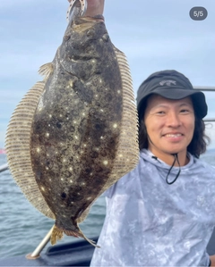 ヒラメの釣果