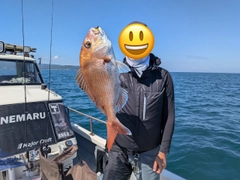 タイの釣果