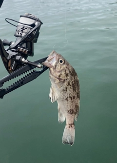 釣果