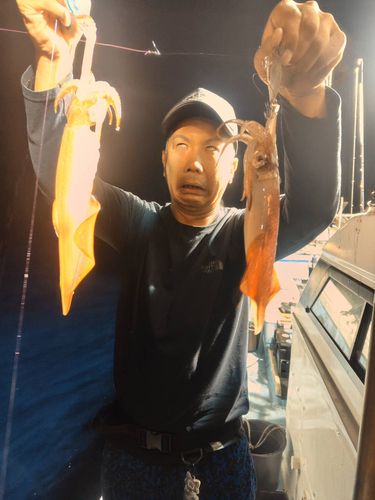 ケンサキイカの釣果