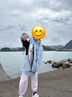 ソウダガツオの釣果
