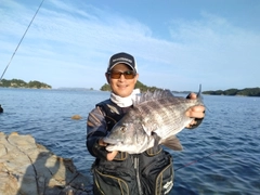 チヌの釣果