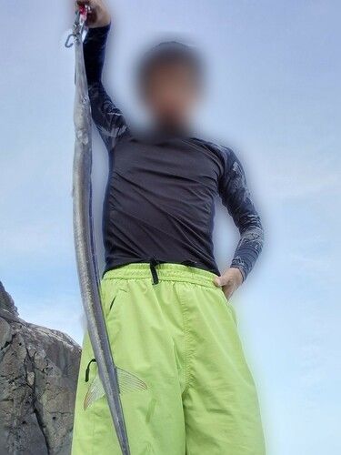 アオヤガラの釣果