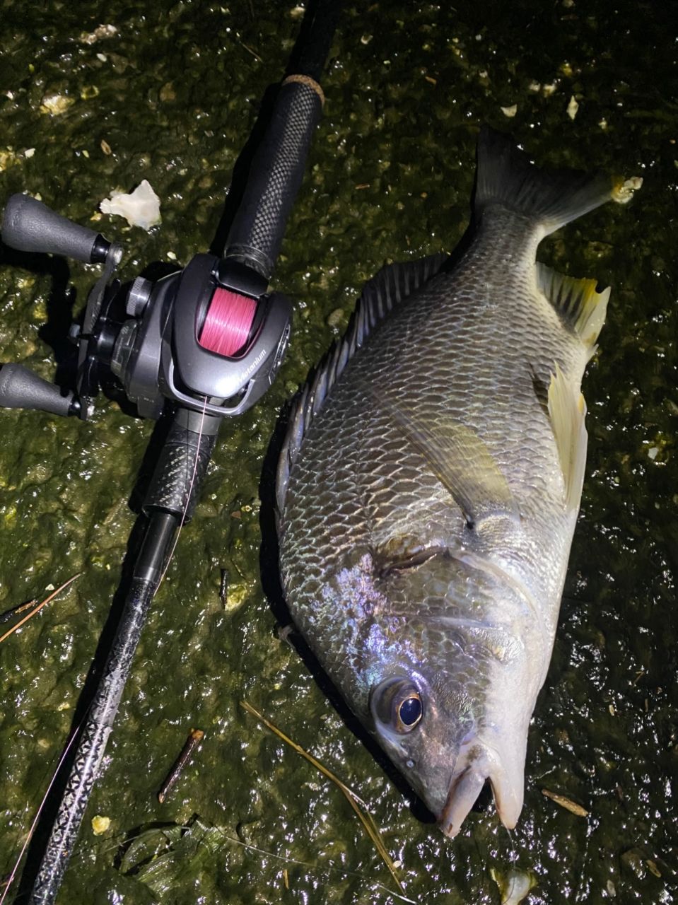 AbuGarcia エラディケーターベイトフィネス カスタムエアーの最安値