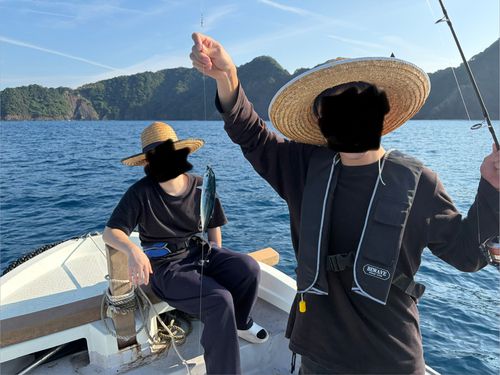 メジカの釣果