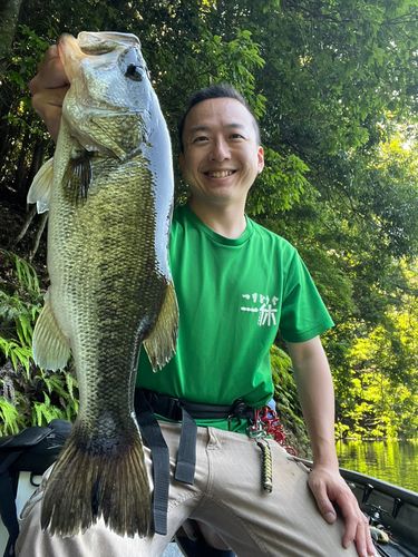 番匠川河口で釣れたブラックバスの釣り・釣果情報 - アングラーズ